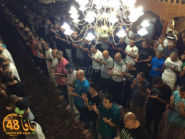 qader yaffa msajed (15).jpg